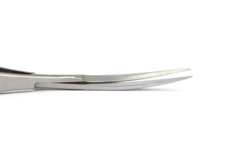 Foto di scorrimento delle lame curve delle forbici di primavera